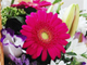 Интернет-магазин по доставке цветов «Надежда»