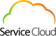 Service Cloud - Сервис по аренде программ 1С   
