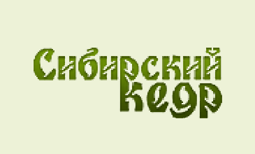 Сибирский интернет. Кедр интернет. Логотип компании ст Сибирь. Директор Сибирский кедр. ООО так фирма Сибирский кедр Улан Удэ.