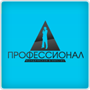 Сайт юридического агентства "Профессионал" (г. Москва)