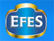 Группа компаний EFES в России